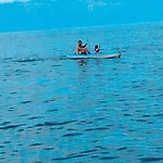Ninho Cagarras Santo Amaro (Azores)