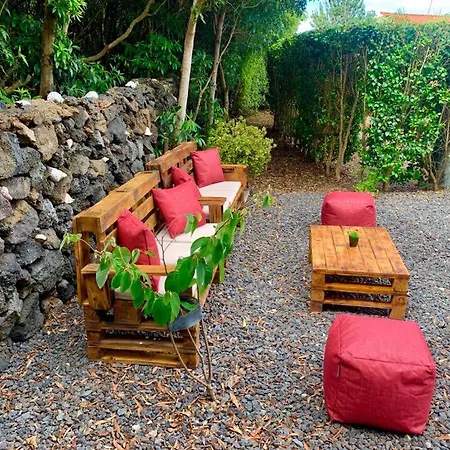 Ninho Cagarras Santo Amaro (Azores)