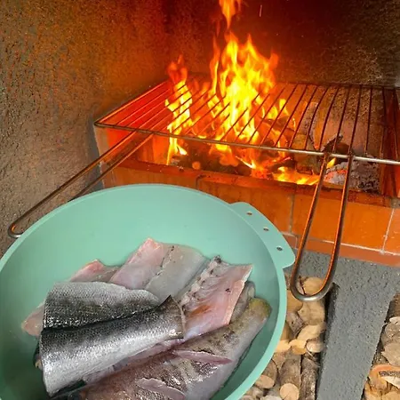 Ninho Cagarras Homestay *