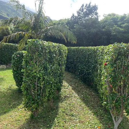 Ninho Cagarras * Santo Amaro (Azores)
