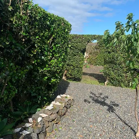 Ninho Cagarras * Santo Amaro (Azores)