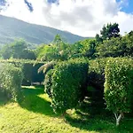 Ninho Cagarras Séjour chez l'habitant Santo Amaro (Azores)