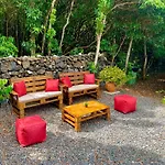 Ninho Cagarras Santo Amaro (Azores)