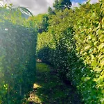 Séjour chez l'habitant Ninho Cagarras Santo Amaro (Azores)