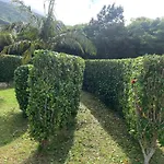 Ninho Cagarras * Santo Amaro (Azores)