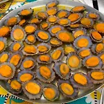Ninho Cagarras Santo Amaro (Azores)