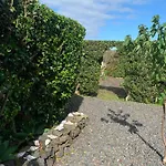 Ninho Cagarras * Santo Amaro (Azores)