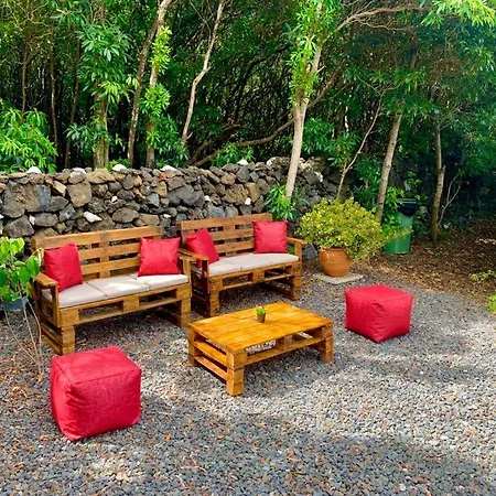 Ninho Cagarras Santo Amaro (Azores)