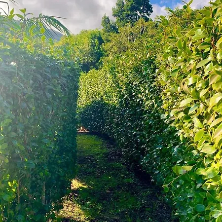 בית אירוח Ninho Cagarras Santo Amaro (Azores)