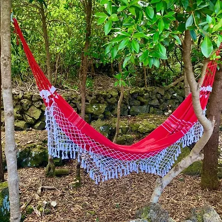 Accommodatie bij particulieren Ninho Cagarras *