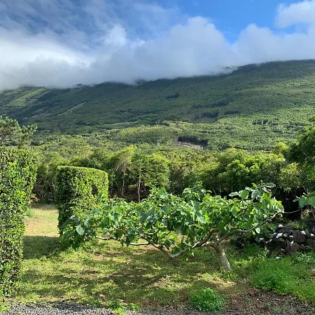 Ninho Cagarras בית אירוח Santo Amaro (Azores)