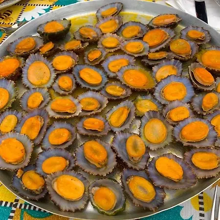 Ninho Cagarras Santo Amaro (Azores)