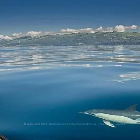 בית אירוח Ninho Cagarras Santo Amaro (Azores)