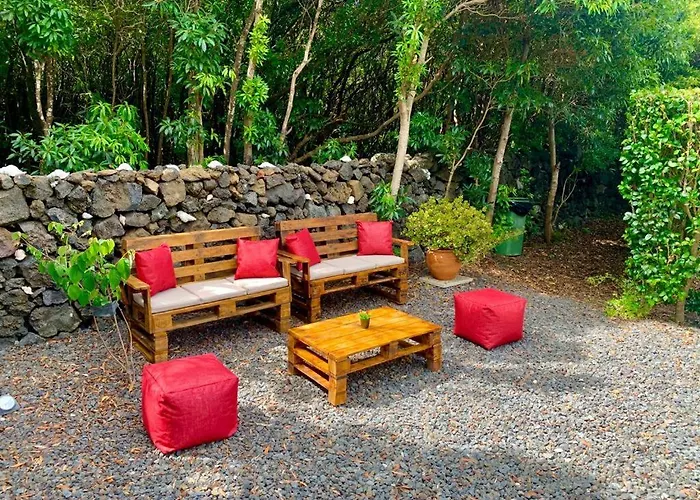 Ninho Cagarras Santo Amaro (Azores)