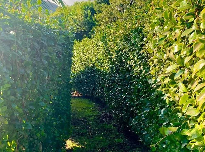 Homestay Ninho Cagarras Santo Amaro (Azores)