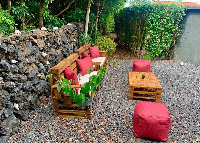 Ninho Cagarras Santo Amaro (Azores)