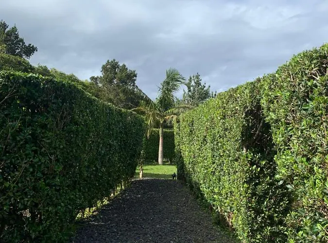 Homestay Ninho Cagarras Santo Amaro (Azores)