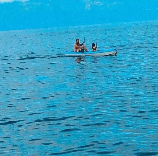 Ninho Cagarras Santo Amaro (Azores)