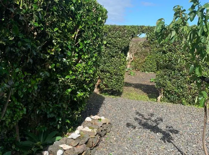 Ninho Cagarras * Santo Amaro (Azores)